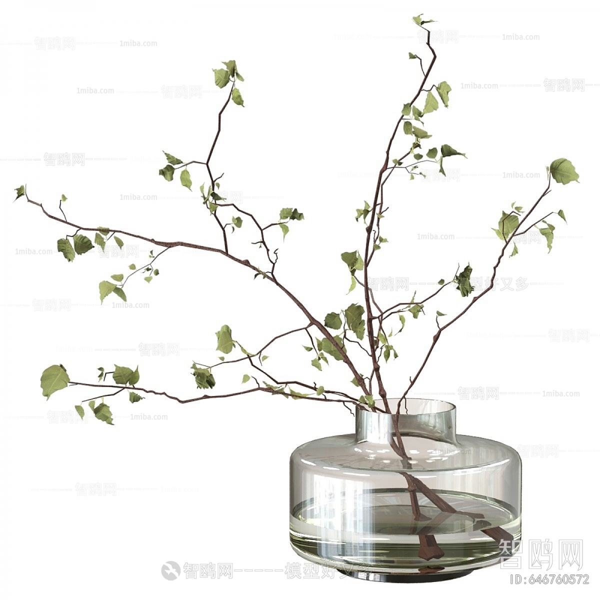 Modern Potted Green Plant