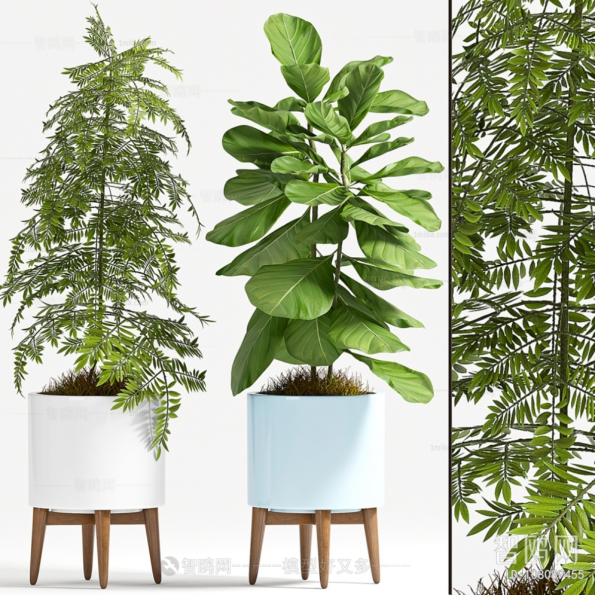Modern Ground Green Plant Potted Plants