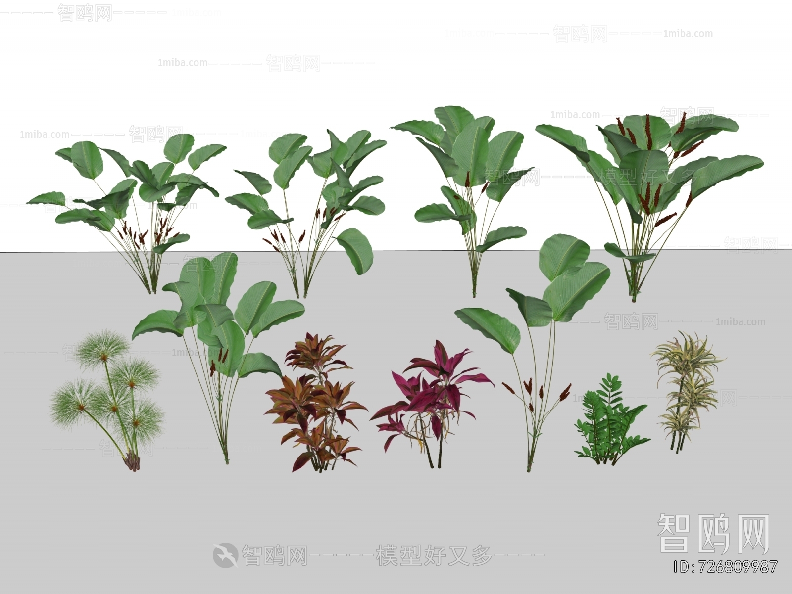 Modern Flowers And Grass