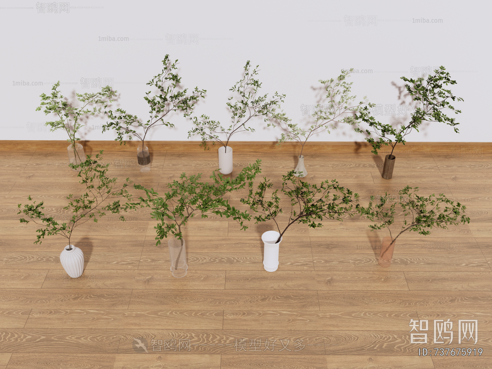 Modern Desktop Plant