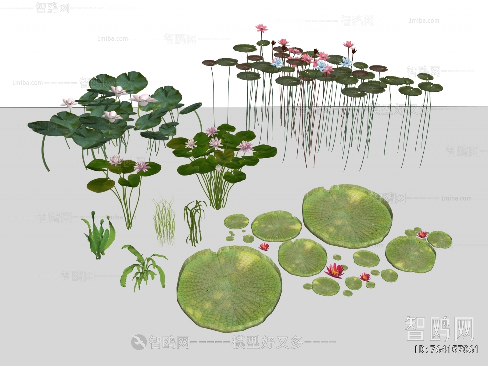 Modern Aquatic Green Plant