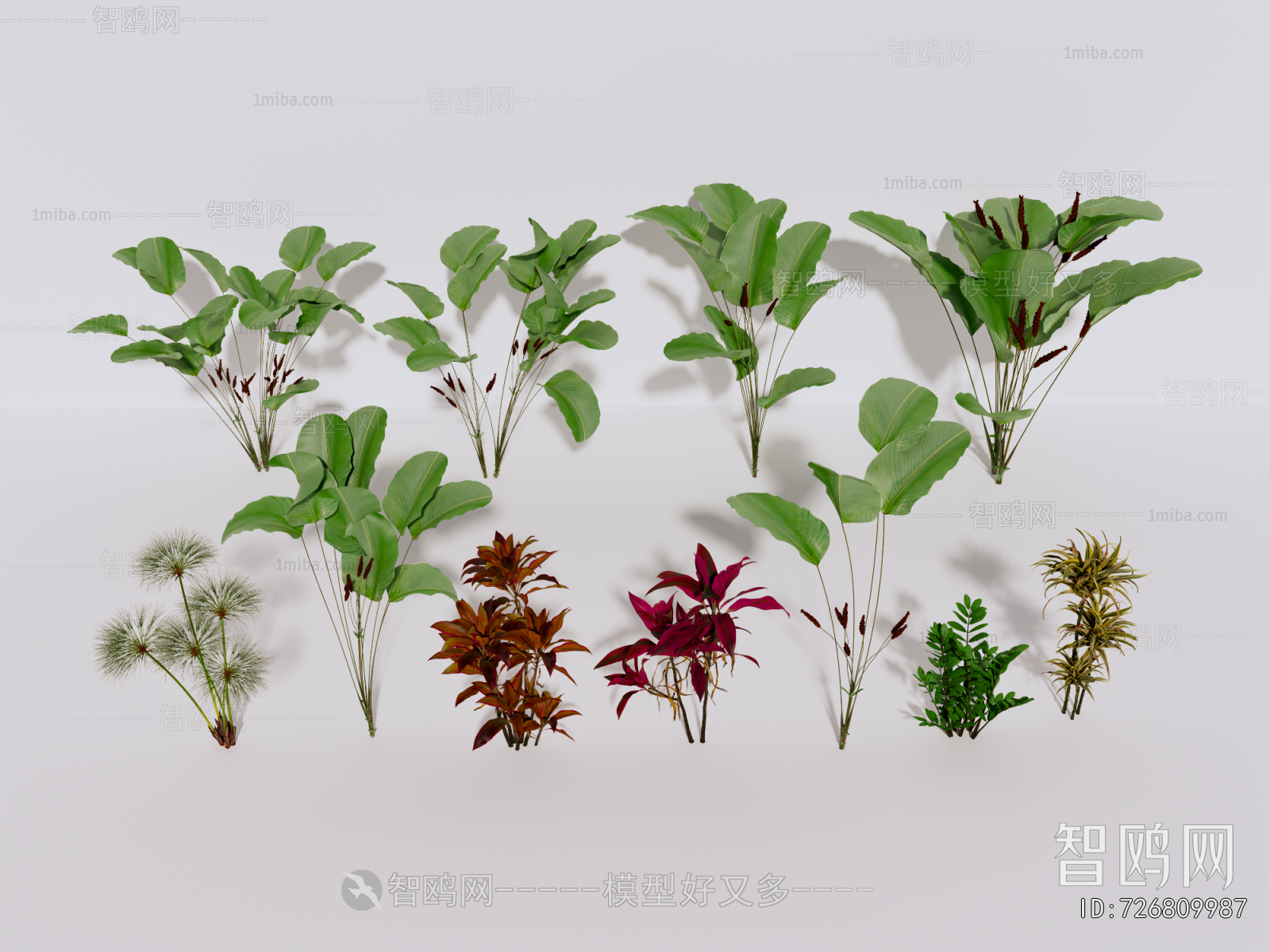 Modern Flowers And Grass