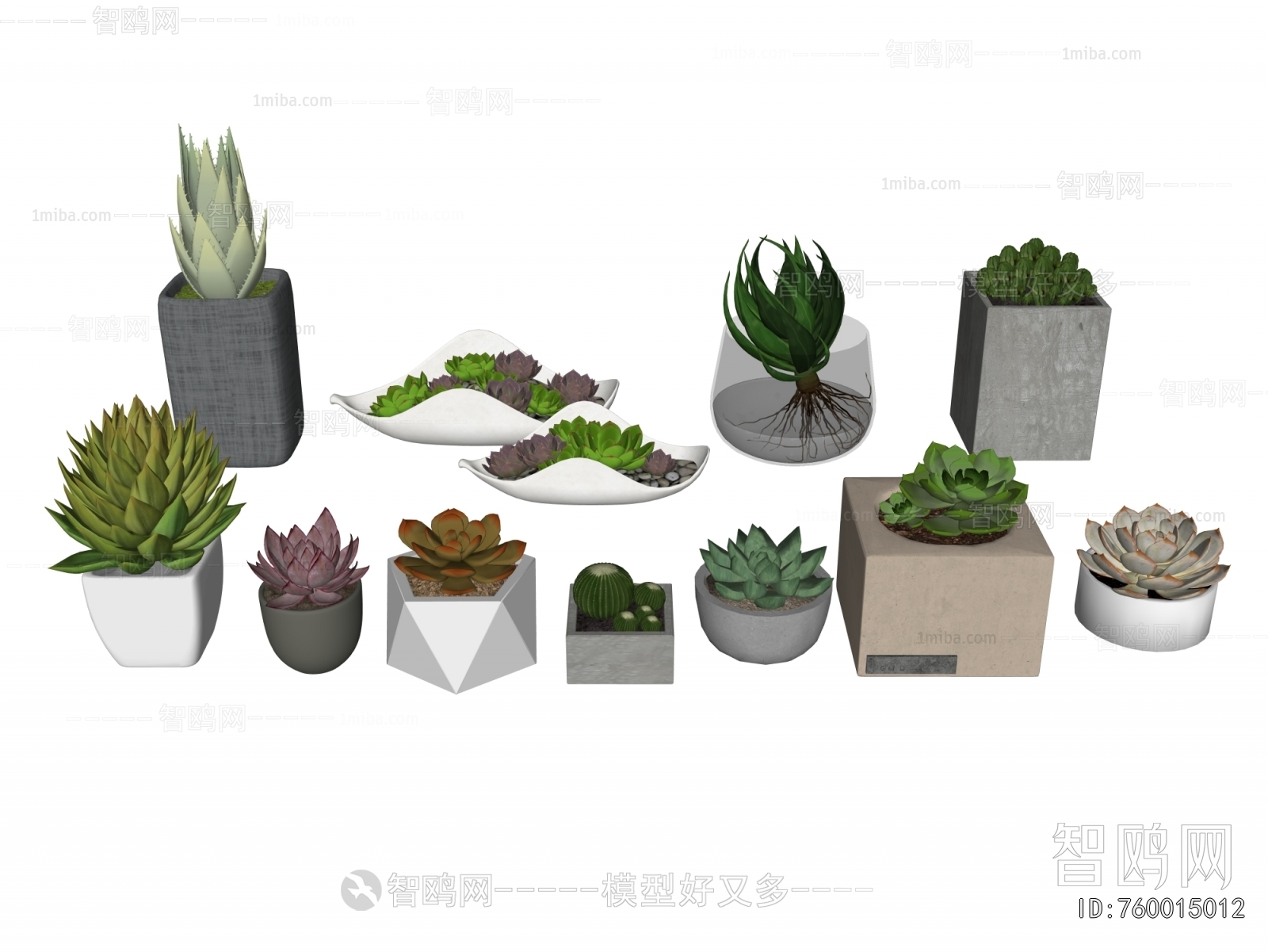 Modern Desktop Plant