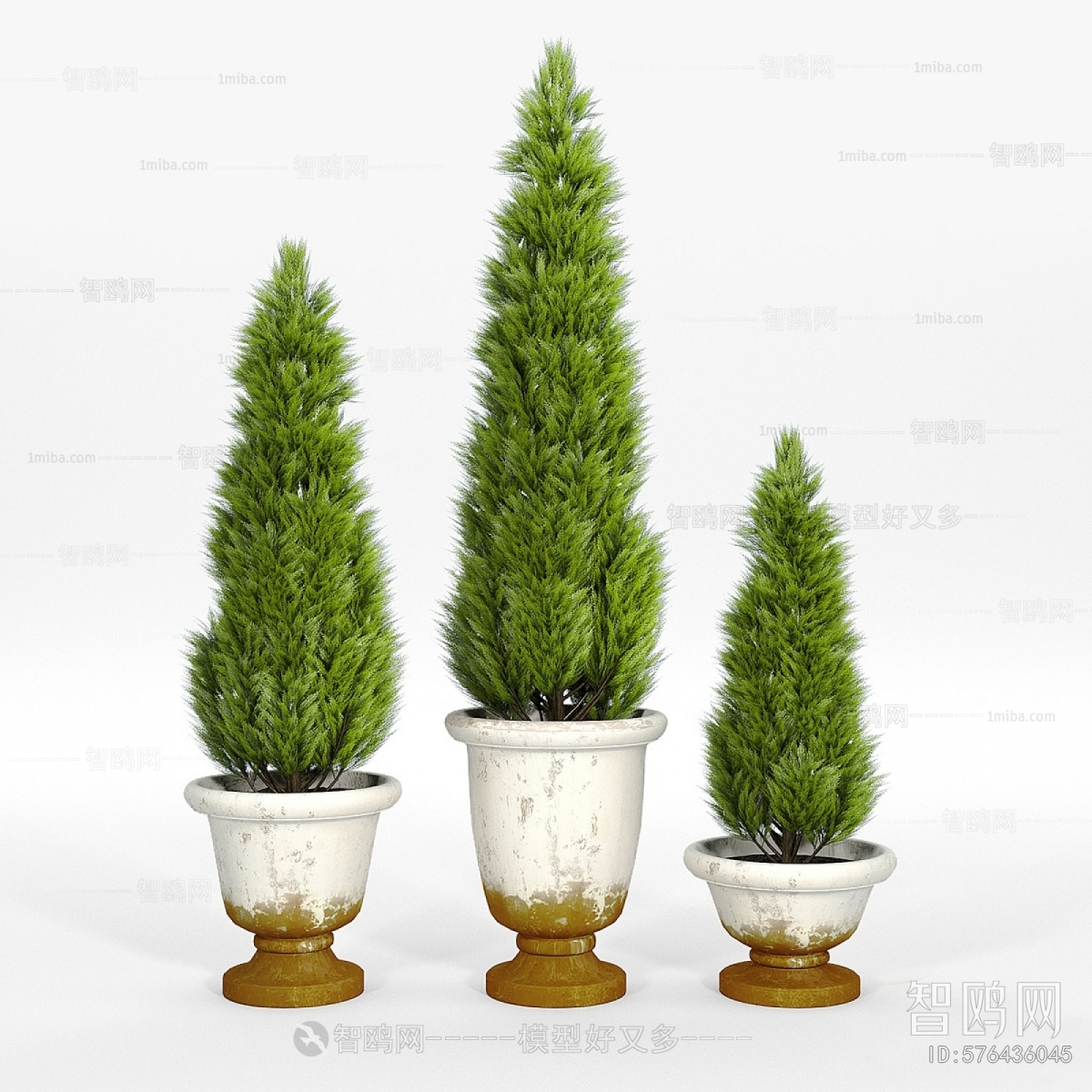 Modern Ground Green Plant Potted Plants