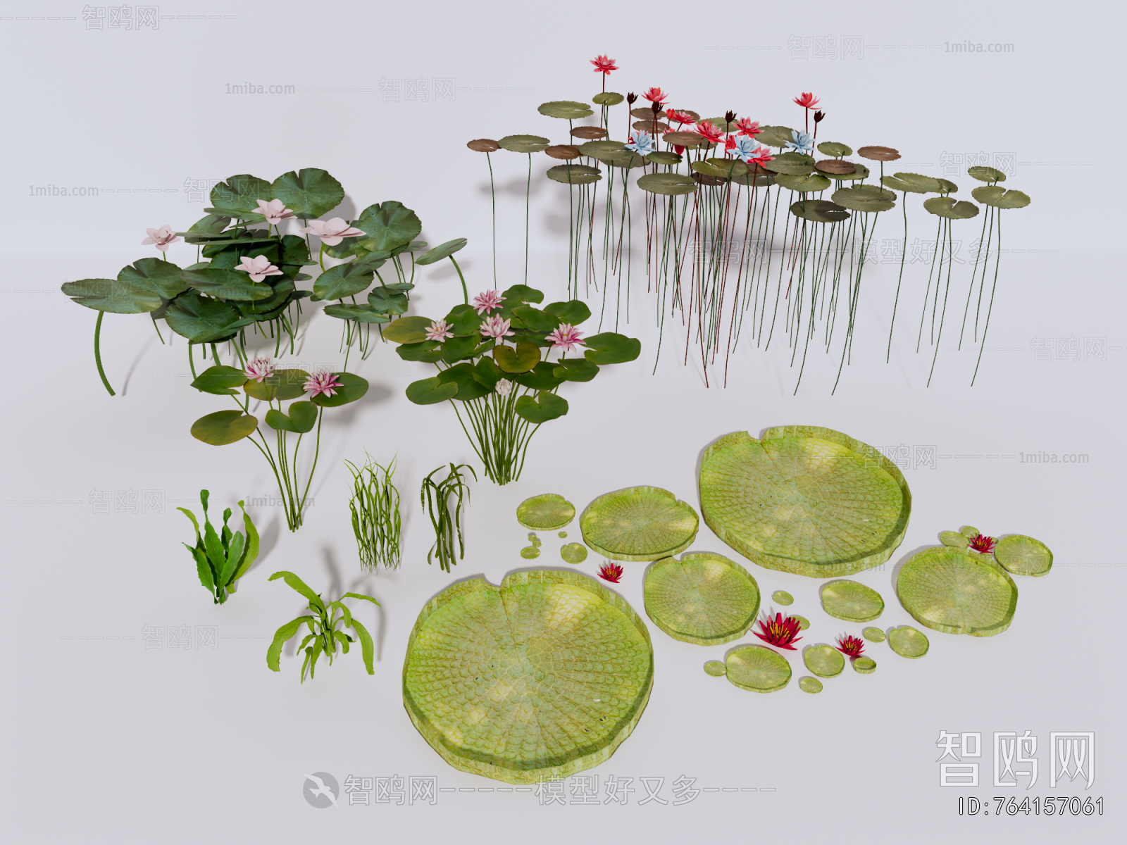 Modern Aquatic Green Plant