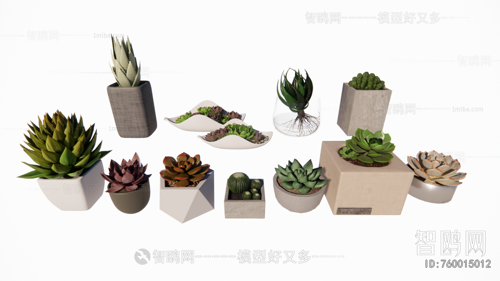 Modern Desktop Plant