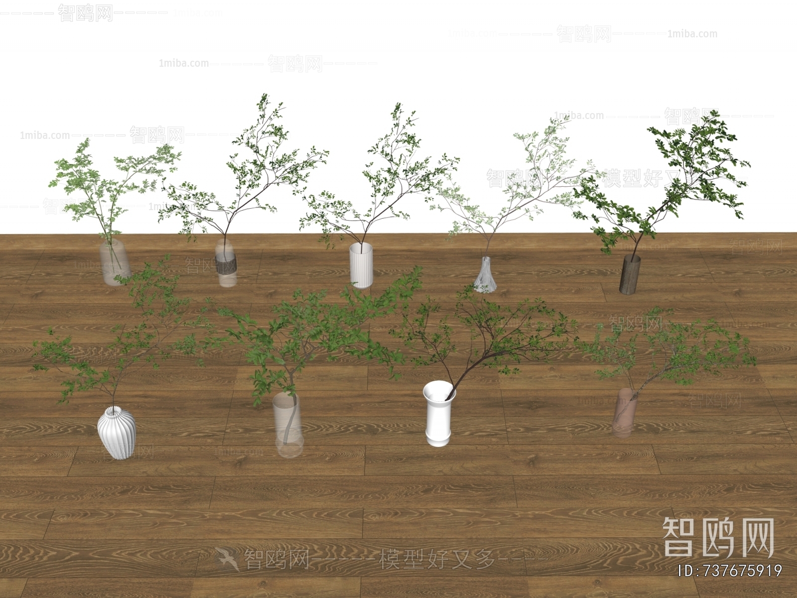 Modern Desktop Plant