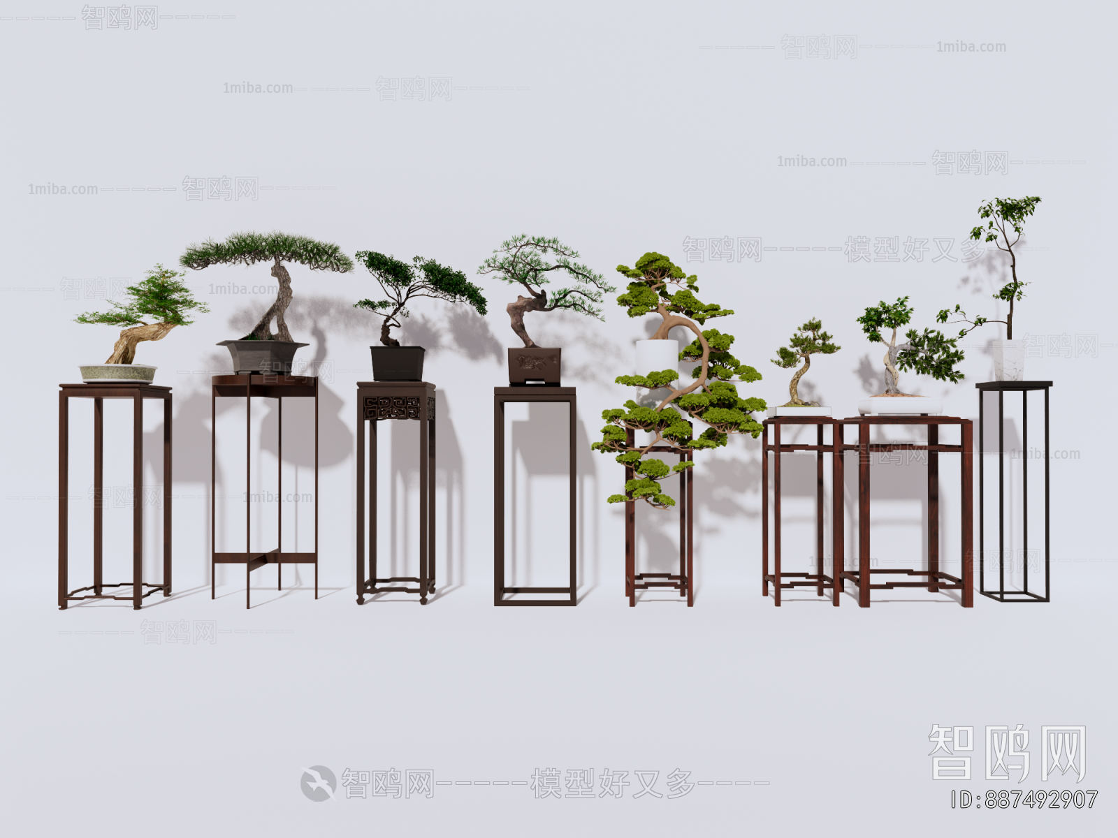 Chinese Style Bonsai