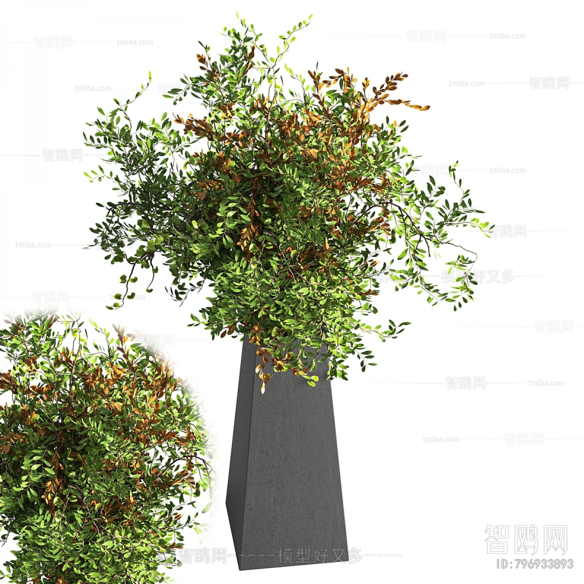 Modern Potted Green Plant