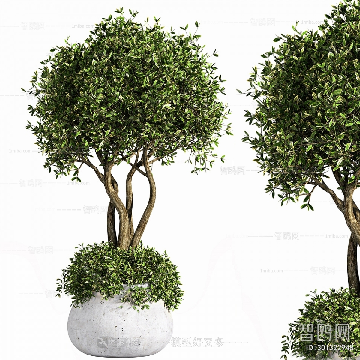 Modern Ground Green Plant Potted Plants