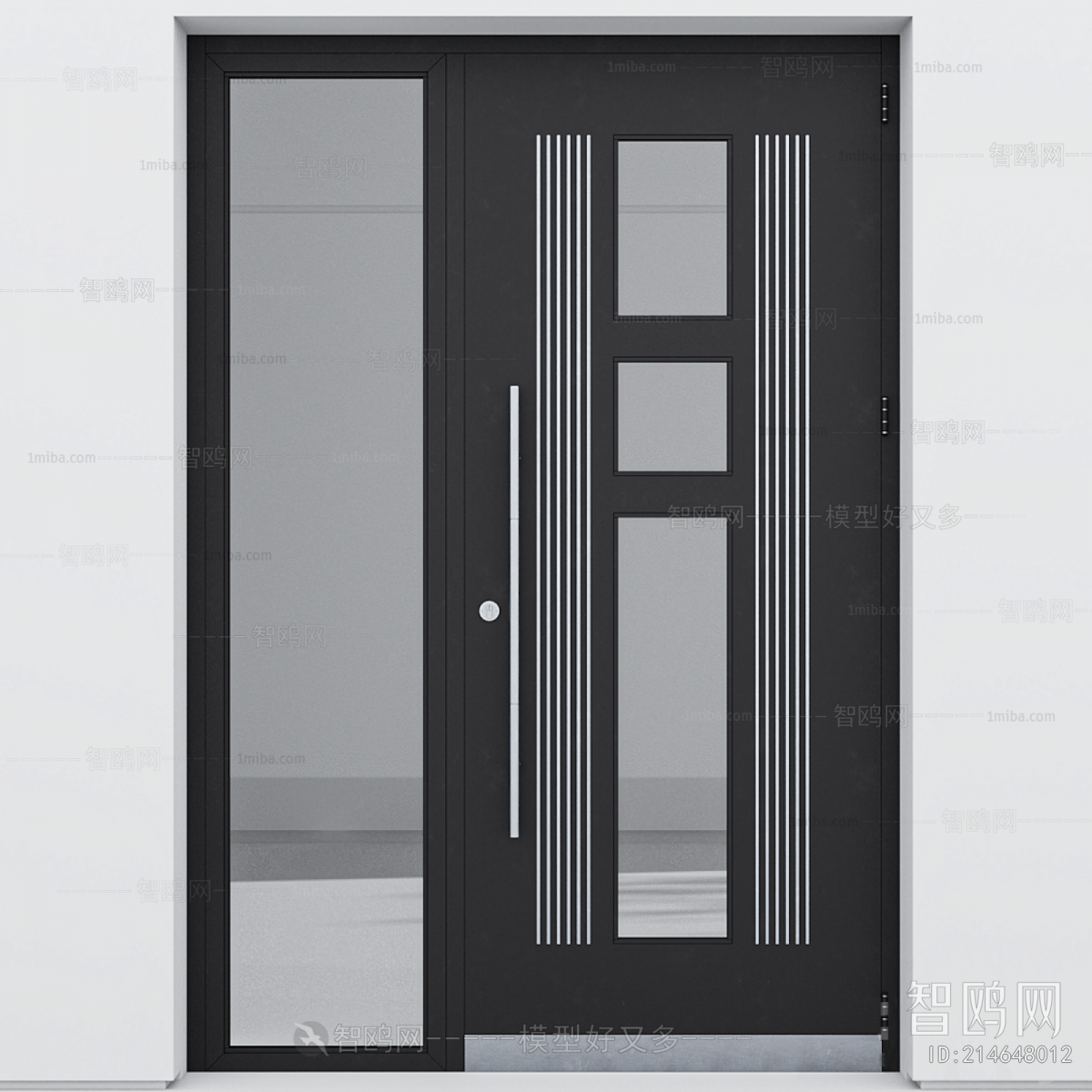 Modern Entrance Door