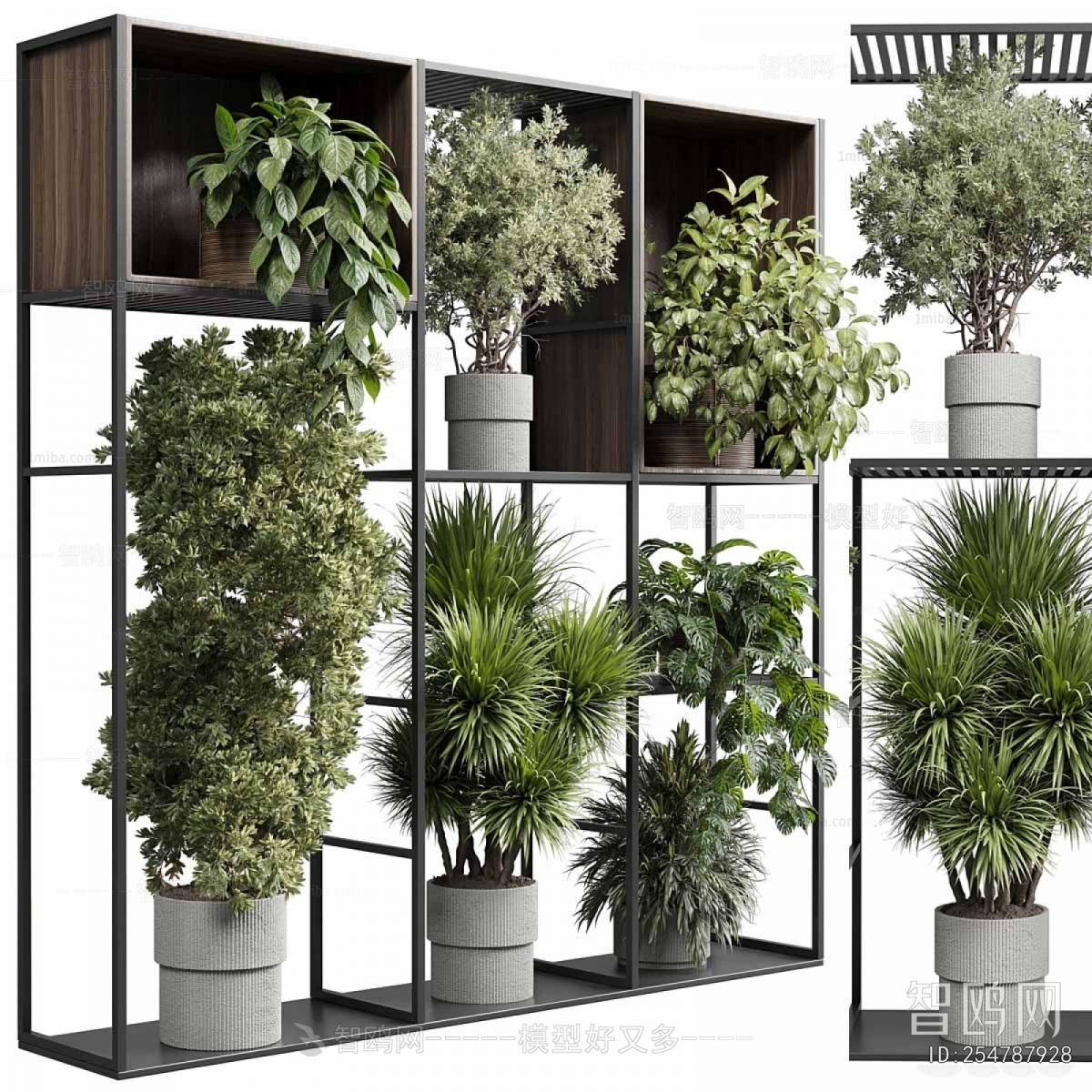 Modern Ground Green Plant Potted Plants