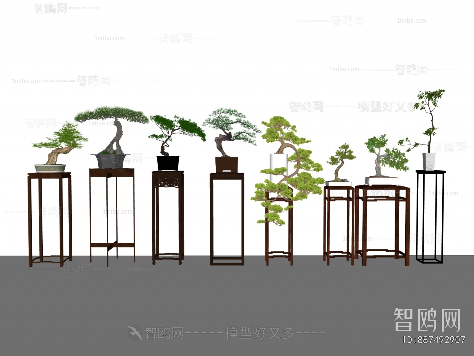 Chinese Style Bonsai