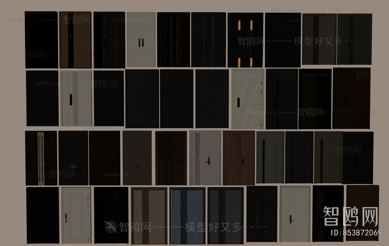 Modern Entrance Door