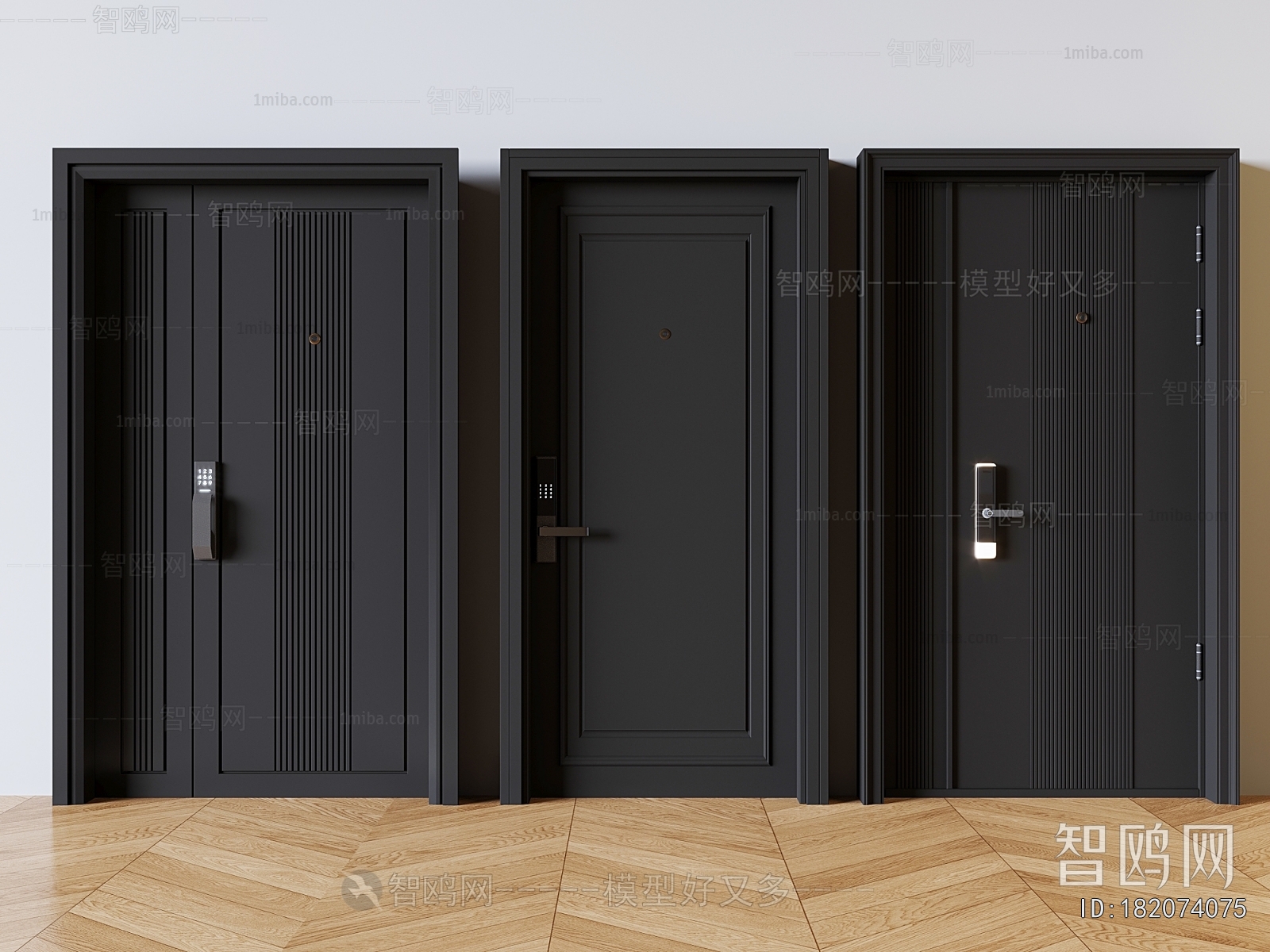 Modern Entrance Door