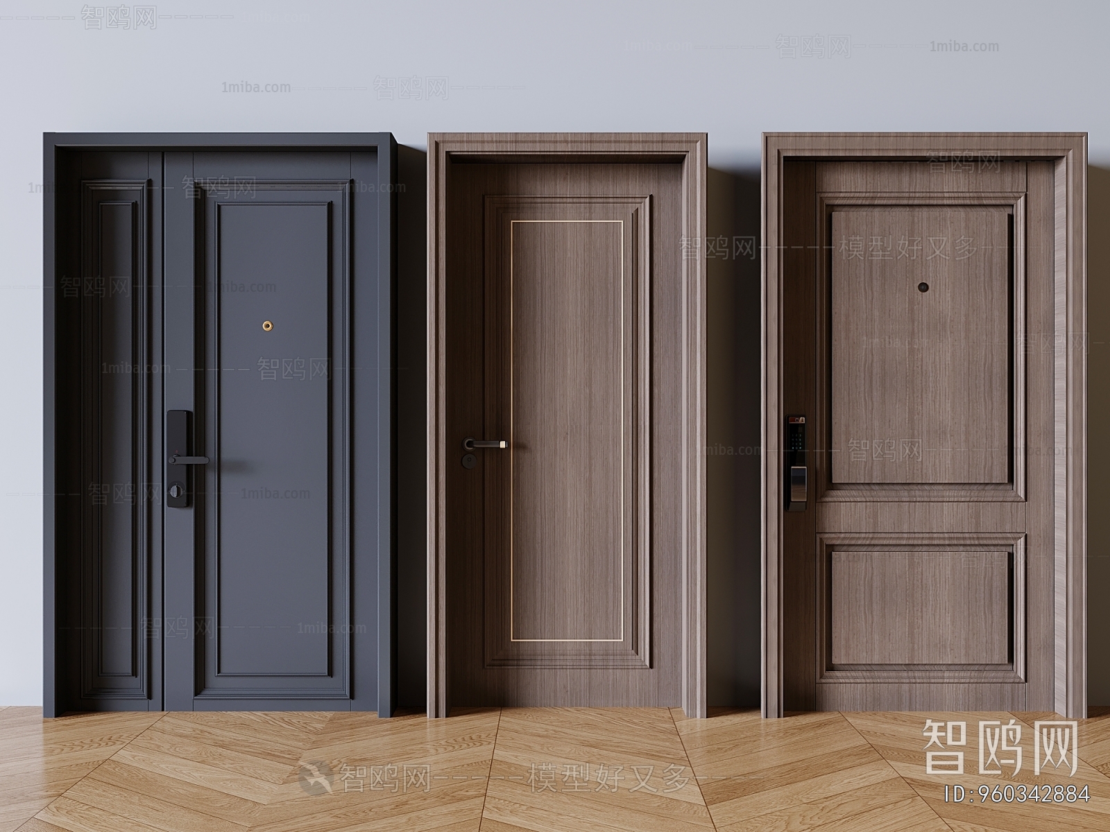 Modern Entrance Door