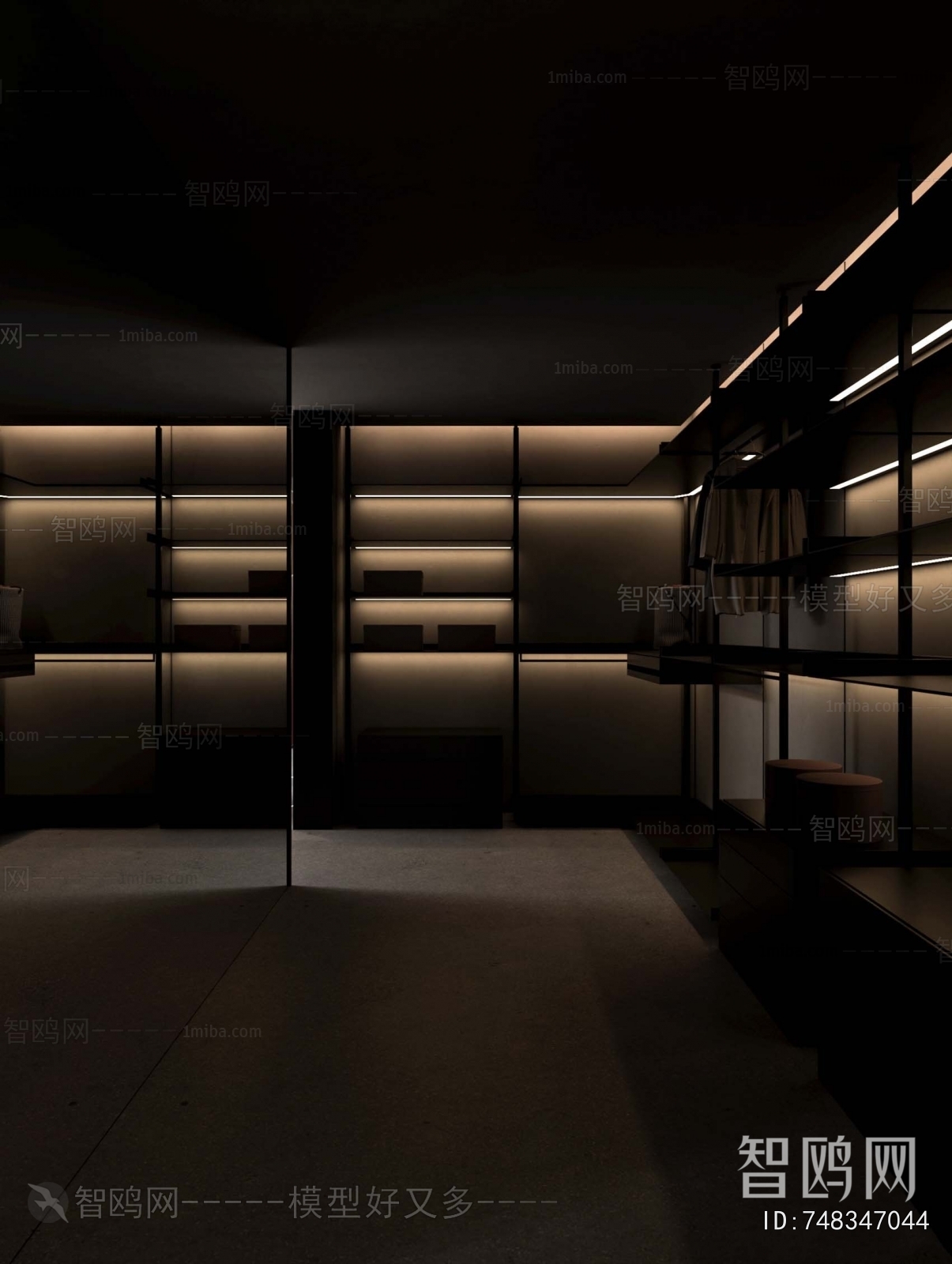 Modern Clothes Storage Area