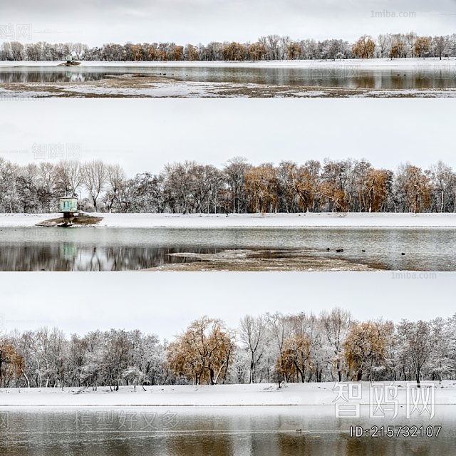 湖边树木雪景