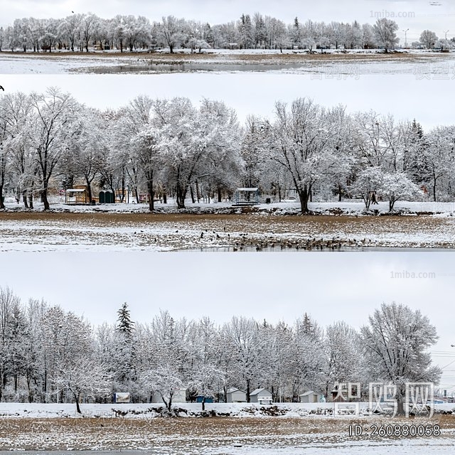 Other Exterior Scenes