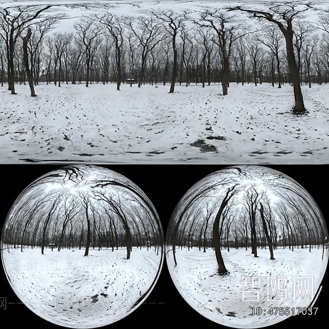 现代冬天树木雪景