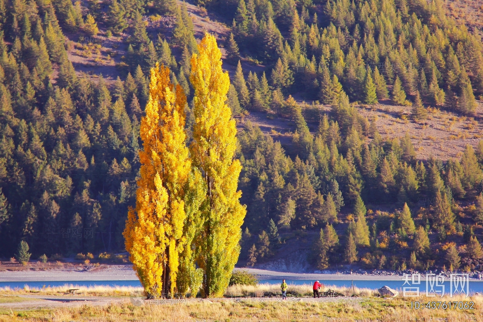 现代森林湖泊风景