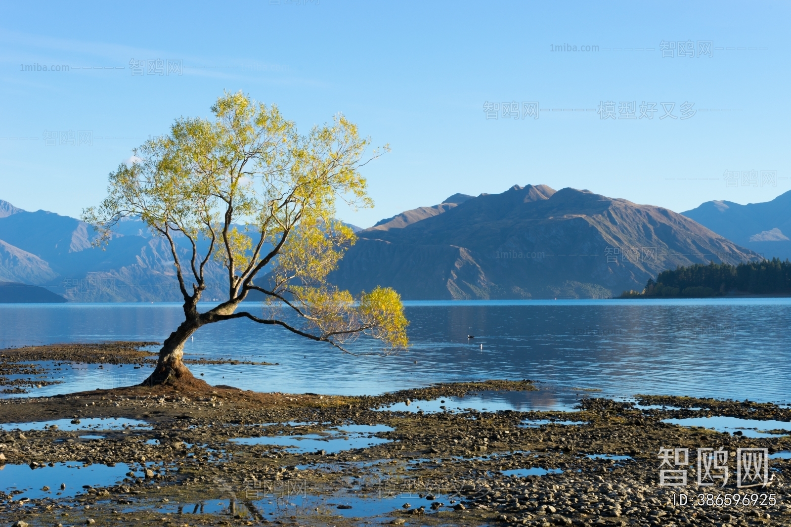 现代森林湖泊风景