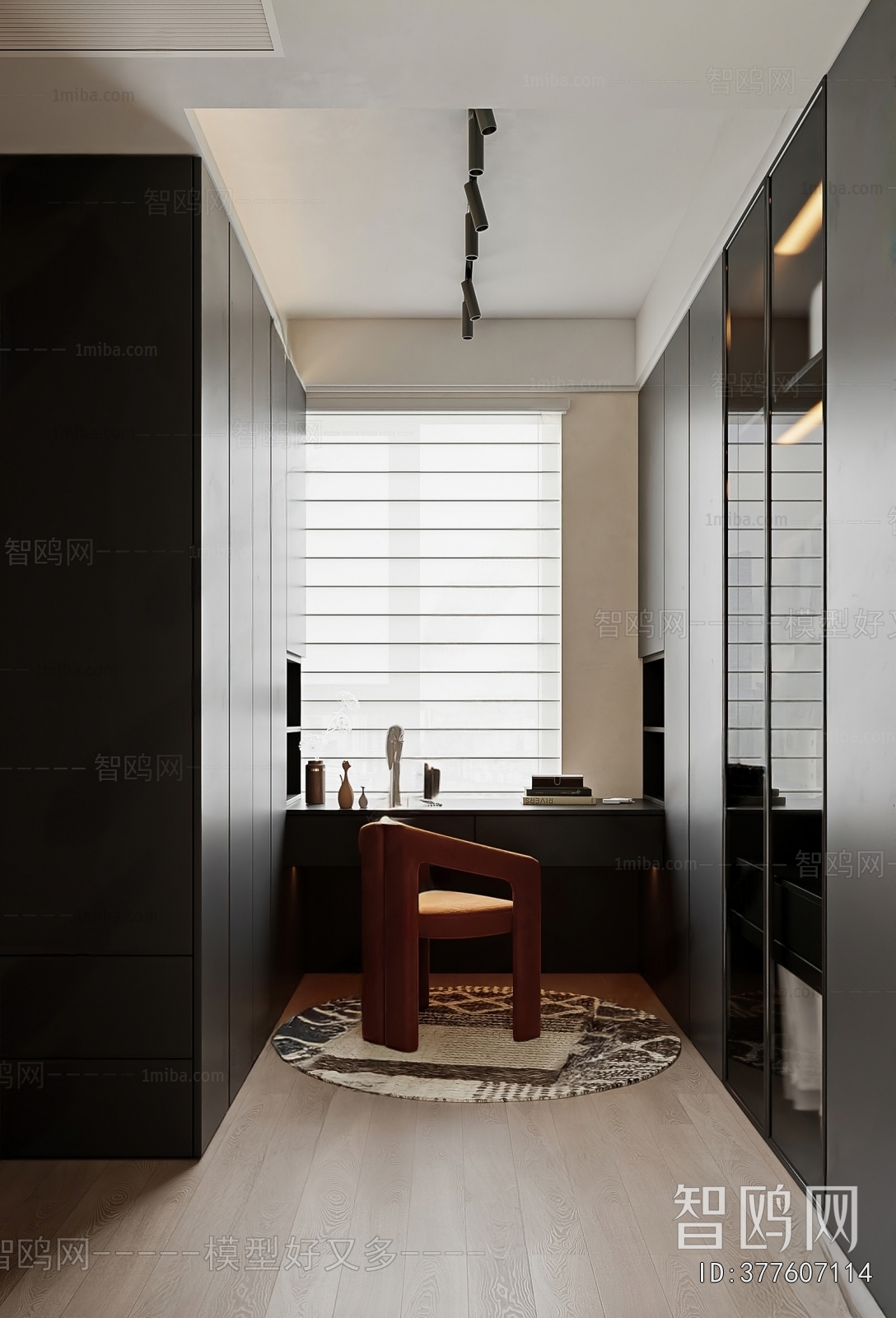 Modern Clothes Storage Area