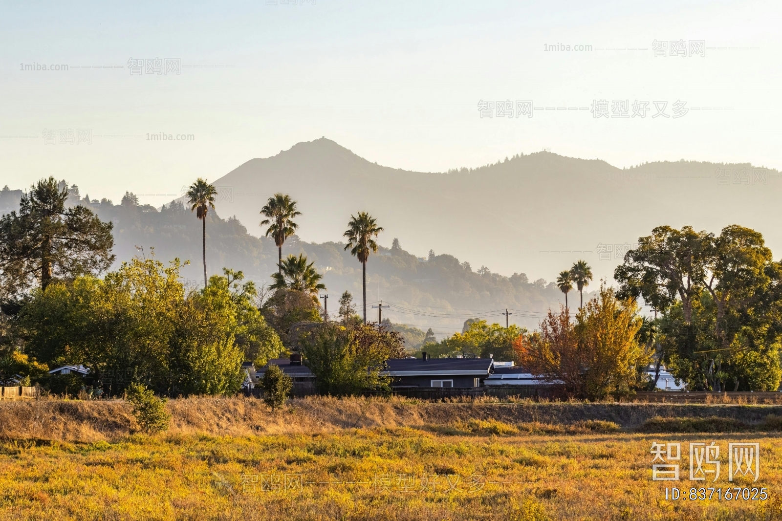 现代秋天乡村田园风景