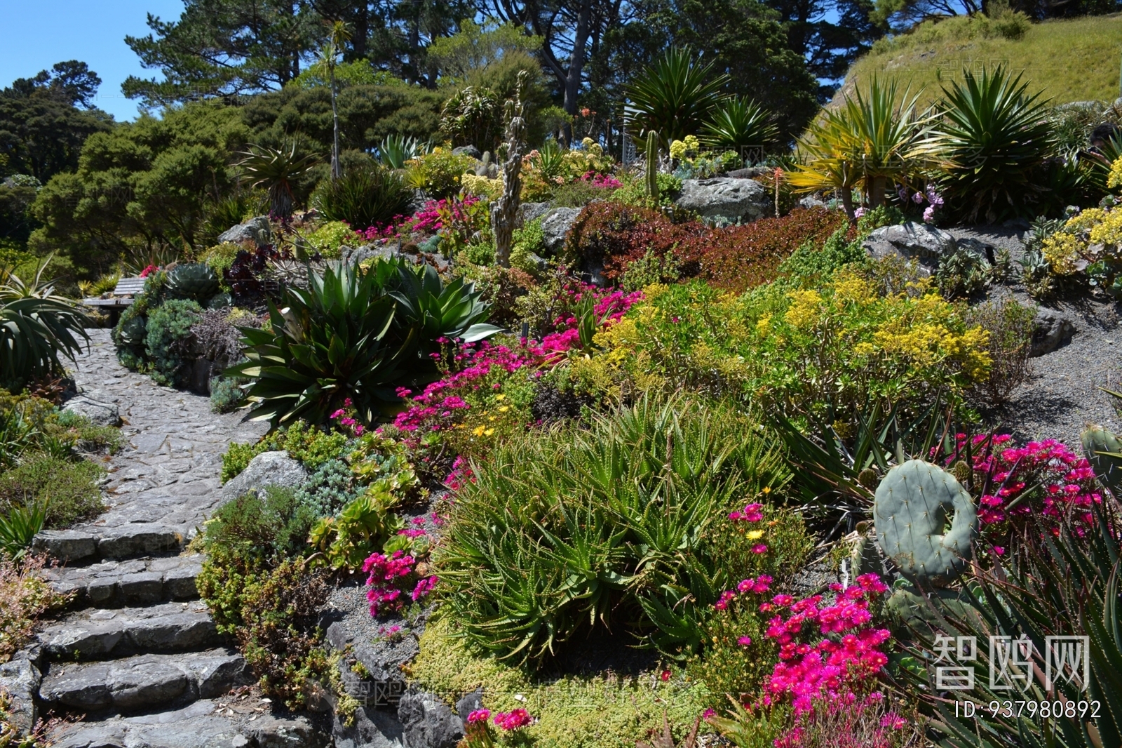 Other Exterior Scenes