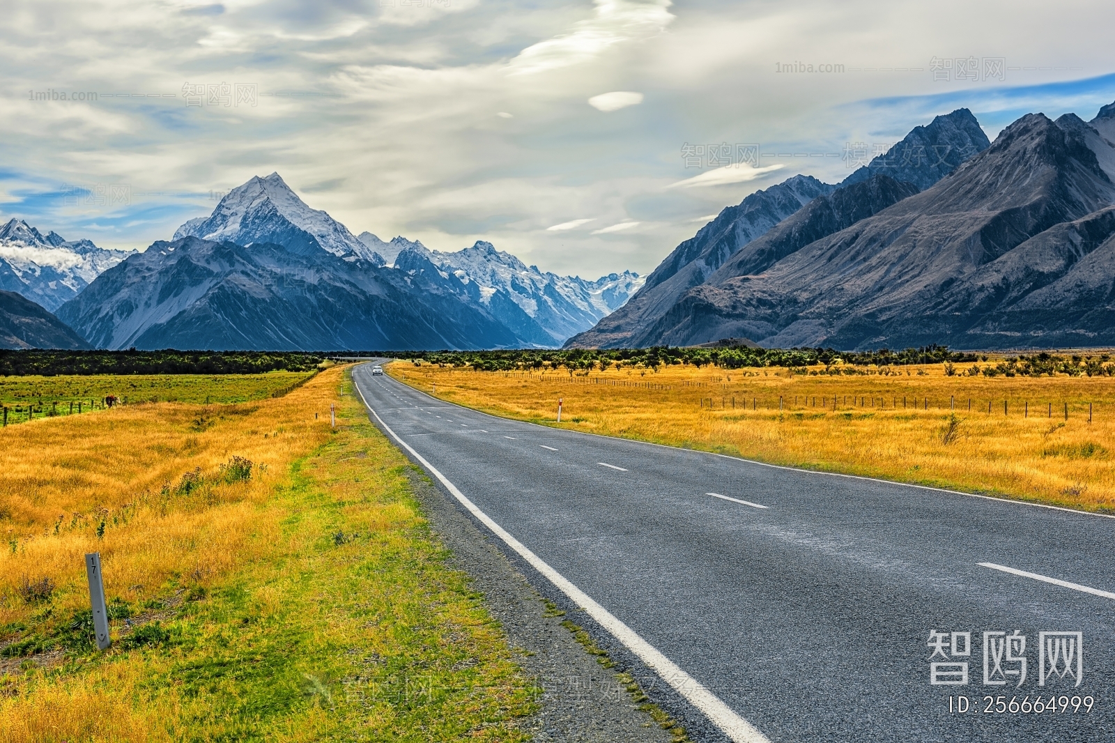 现代秋天道路风景