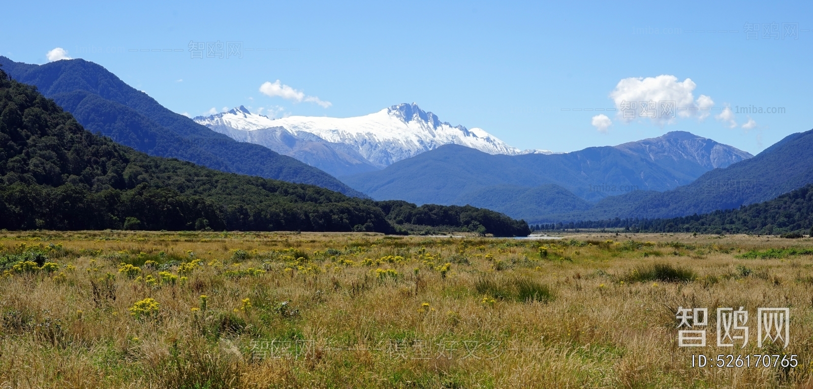 现代草地雪山风景