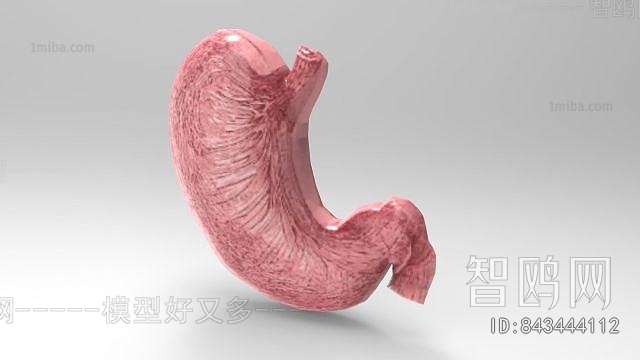 Modern Medical Equipment