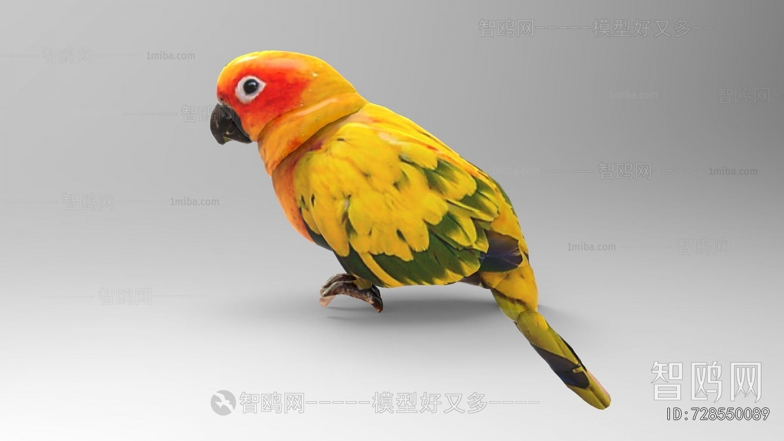 Modern Flying Animals