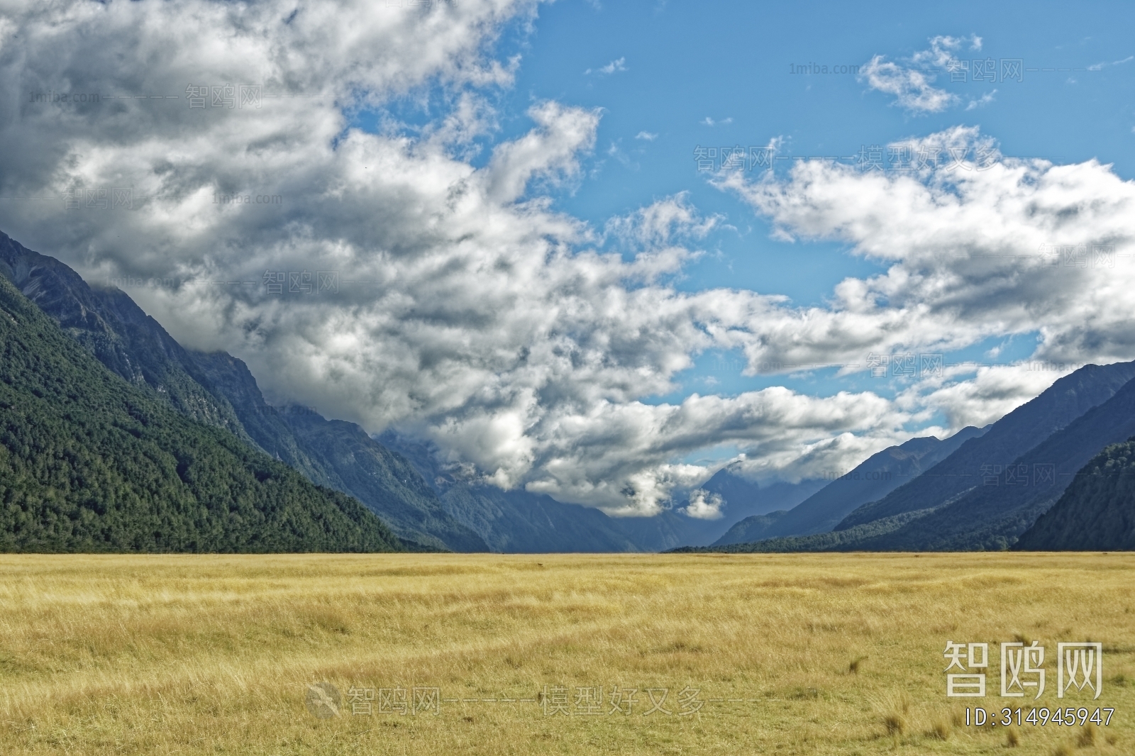 现代金黄草地森林风景