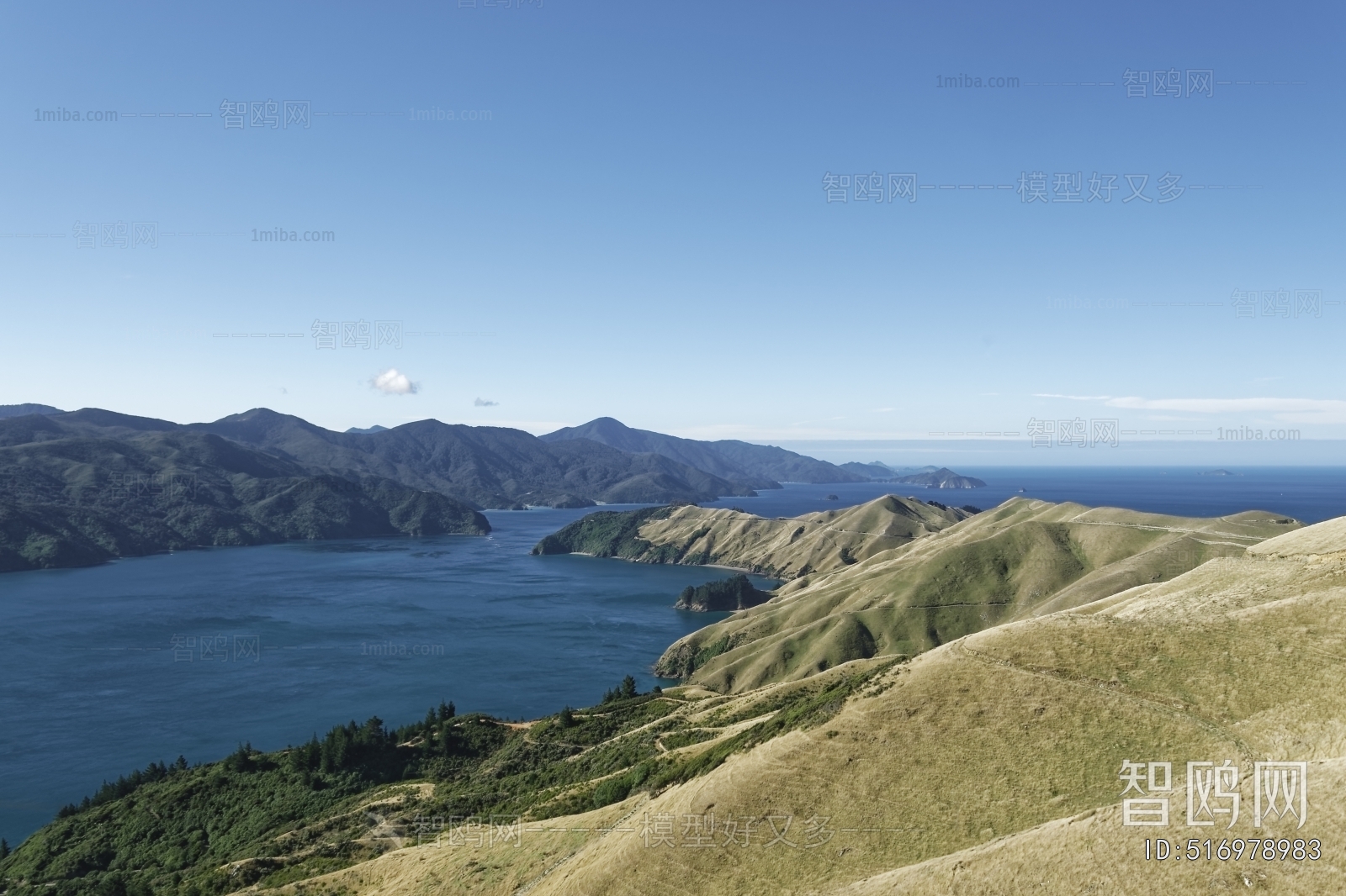 现代森林湖泊风景
