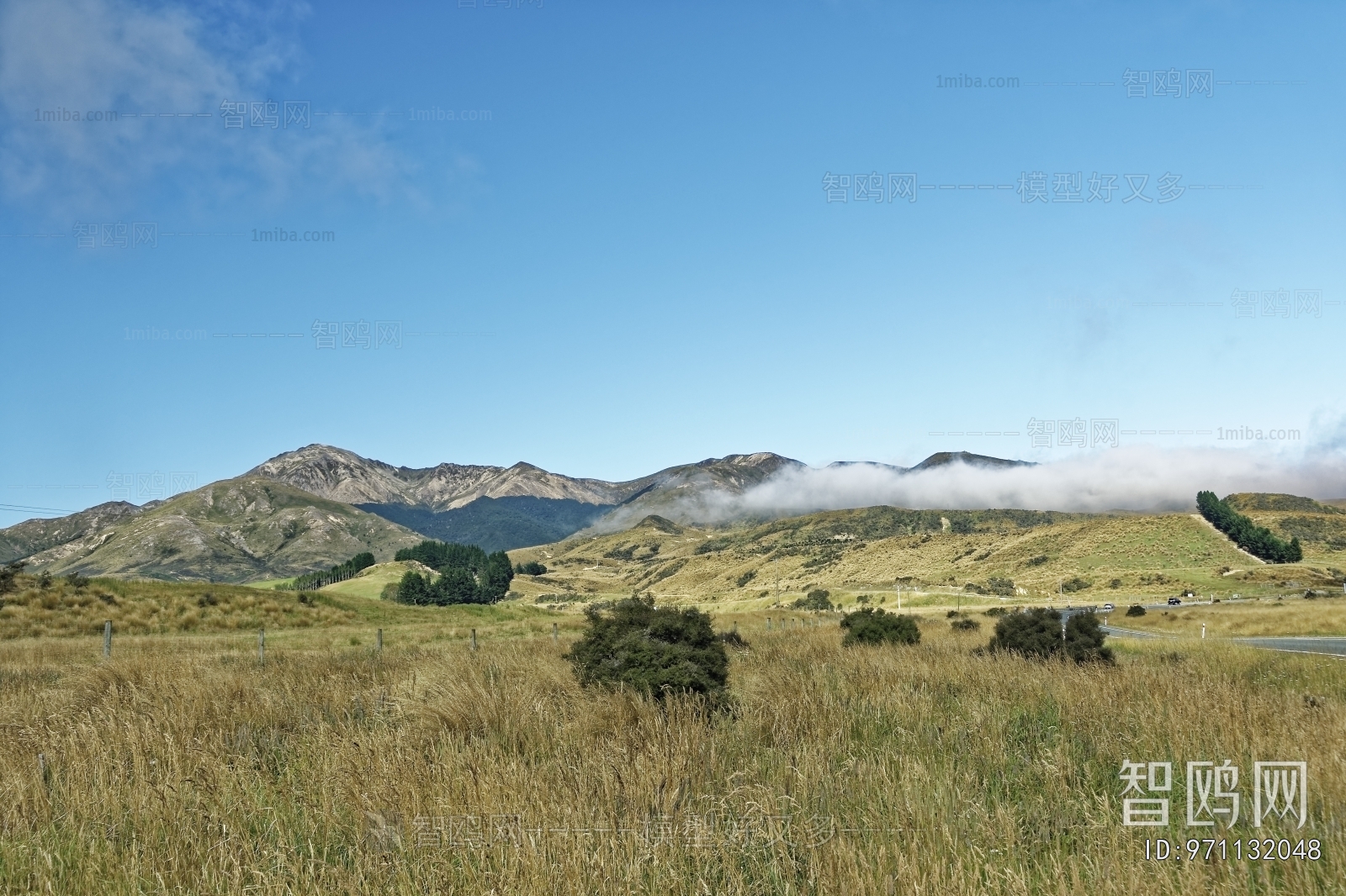 现代草地风景