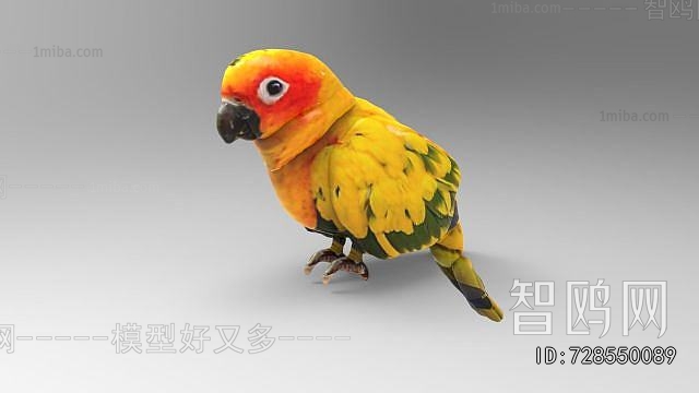 Modern Flying Animals