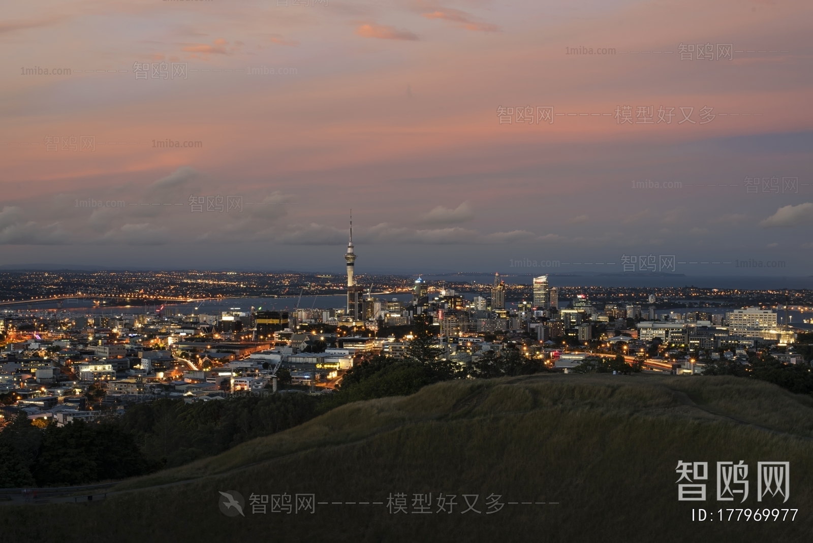 海边城市夜景