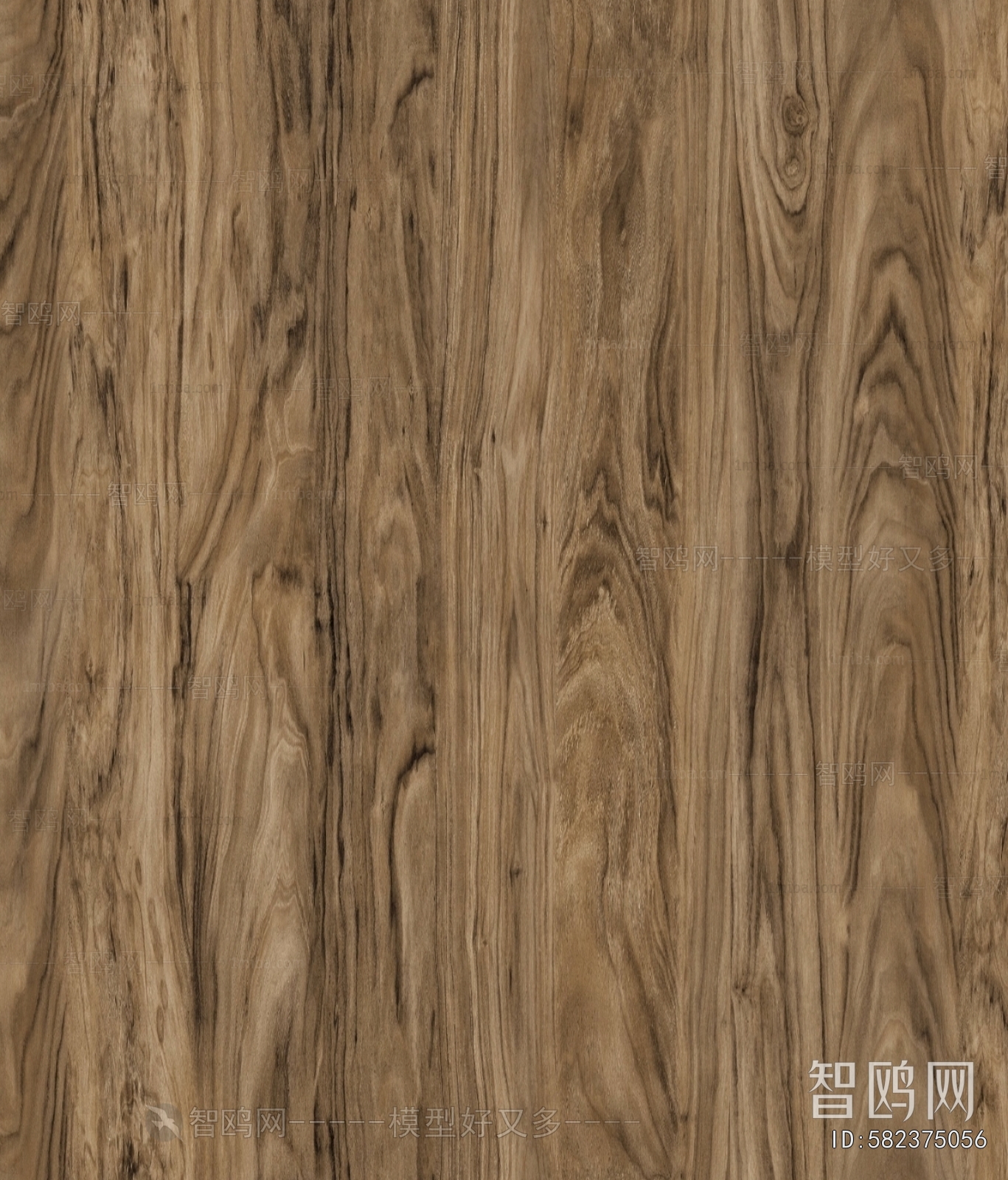 Wood Texture