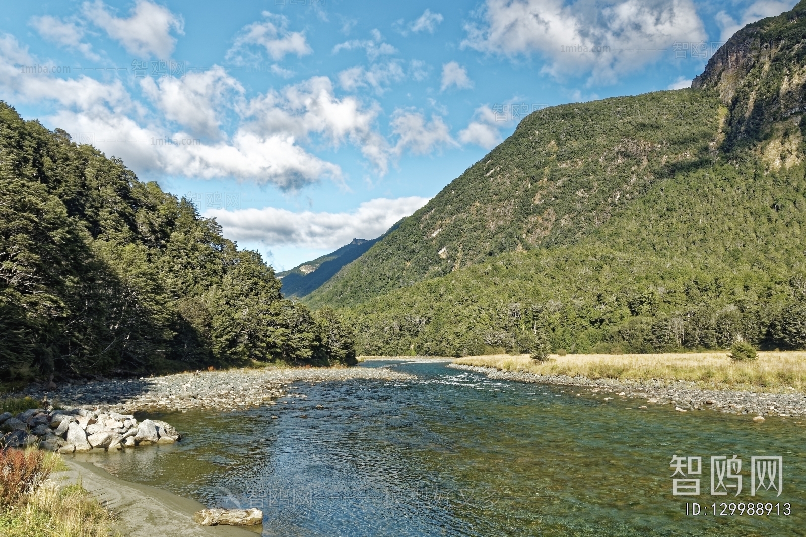 现代小溪森林风景
