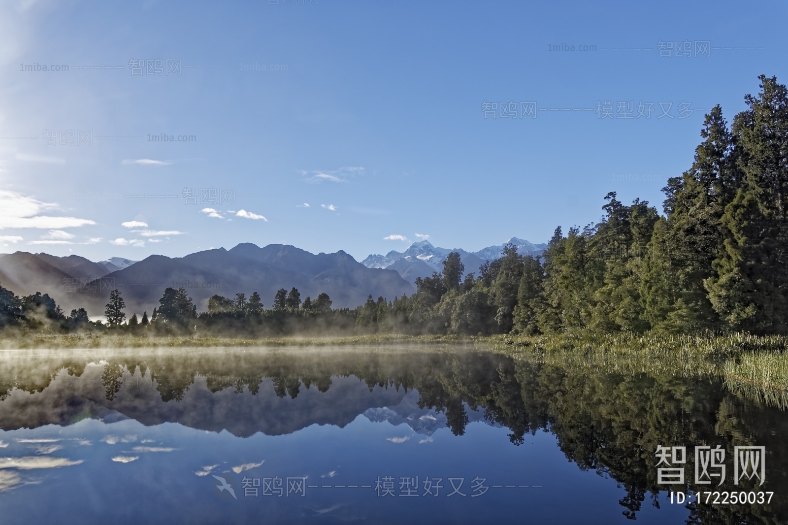 现代森林湖泊风景