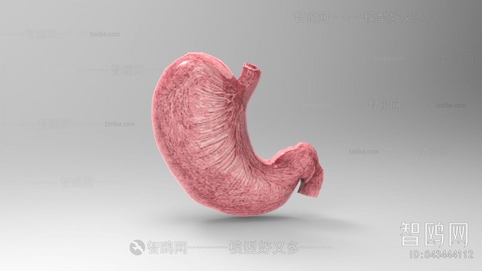 Modern Medical Equipment