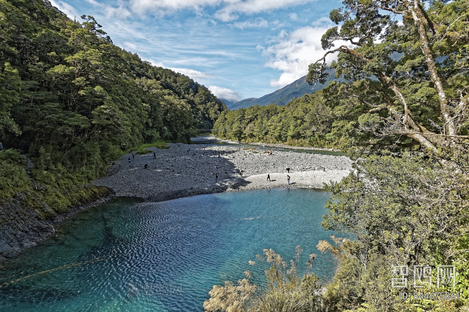 现代小溪森林风景