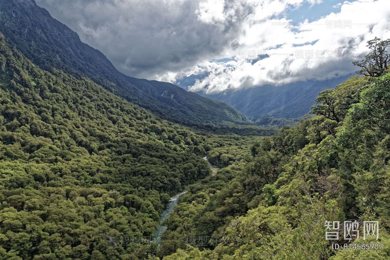 现代森林风景
