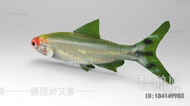 Modern Aquatic Animals