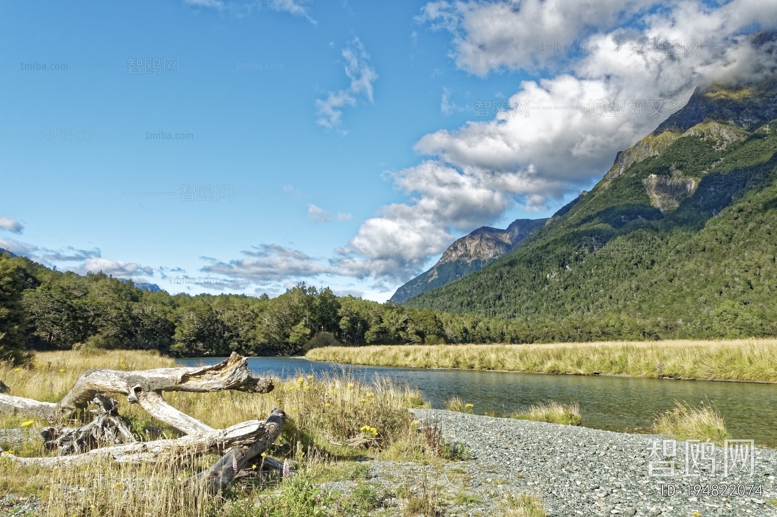现代森林河流风景