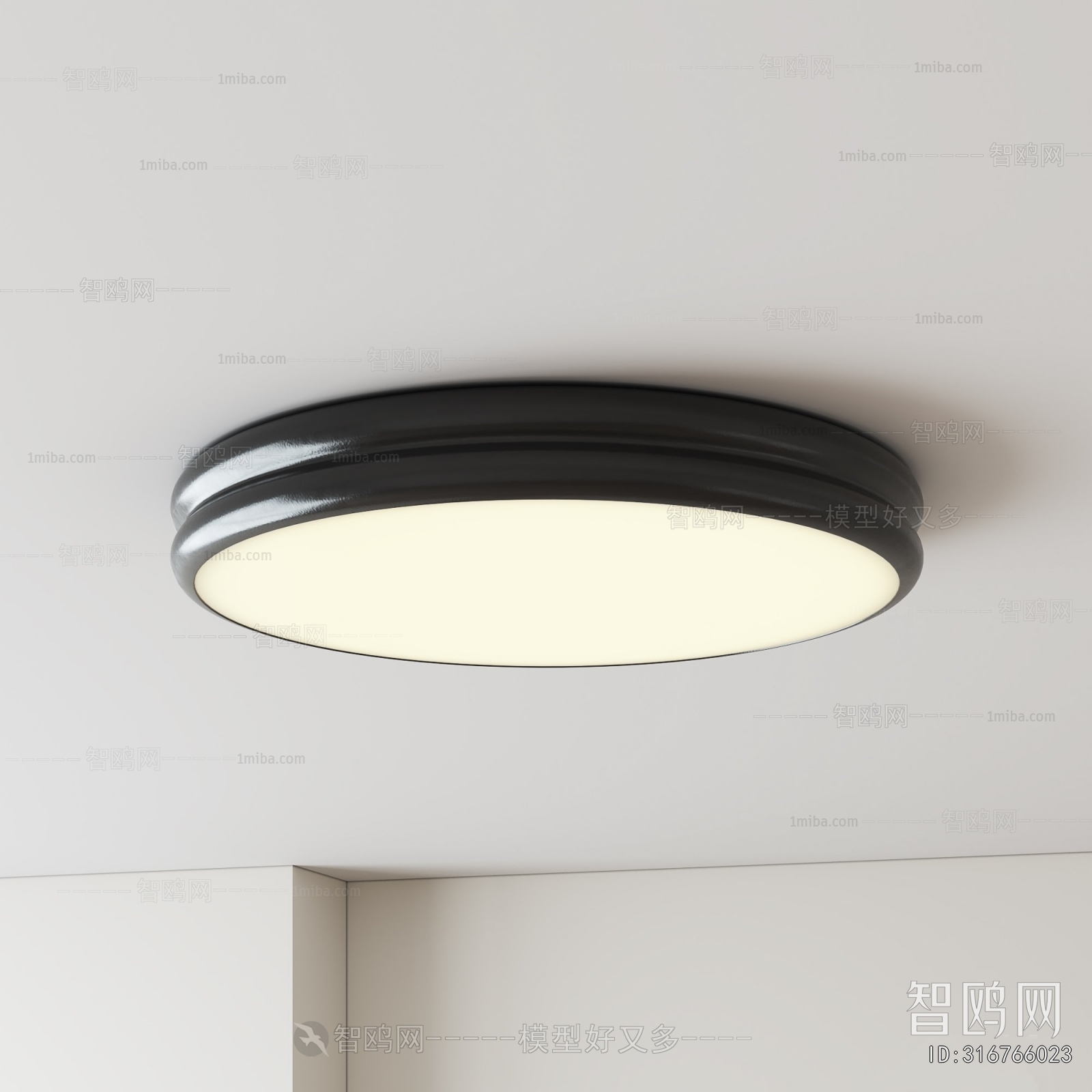Modern Ceiling Ceiling Lamp
