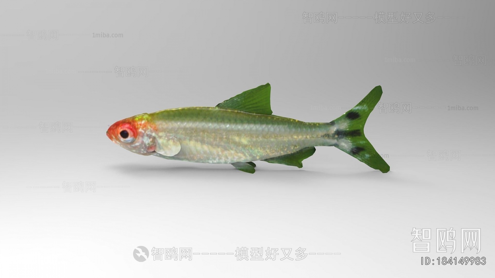 Modern Aquatic Animals