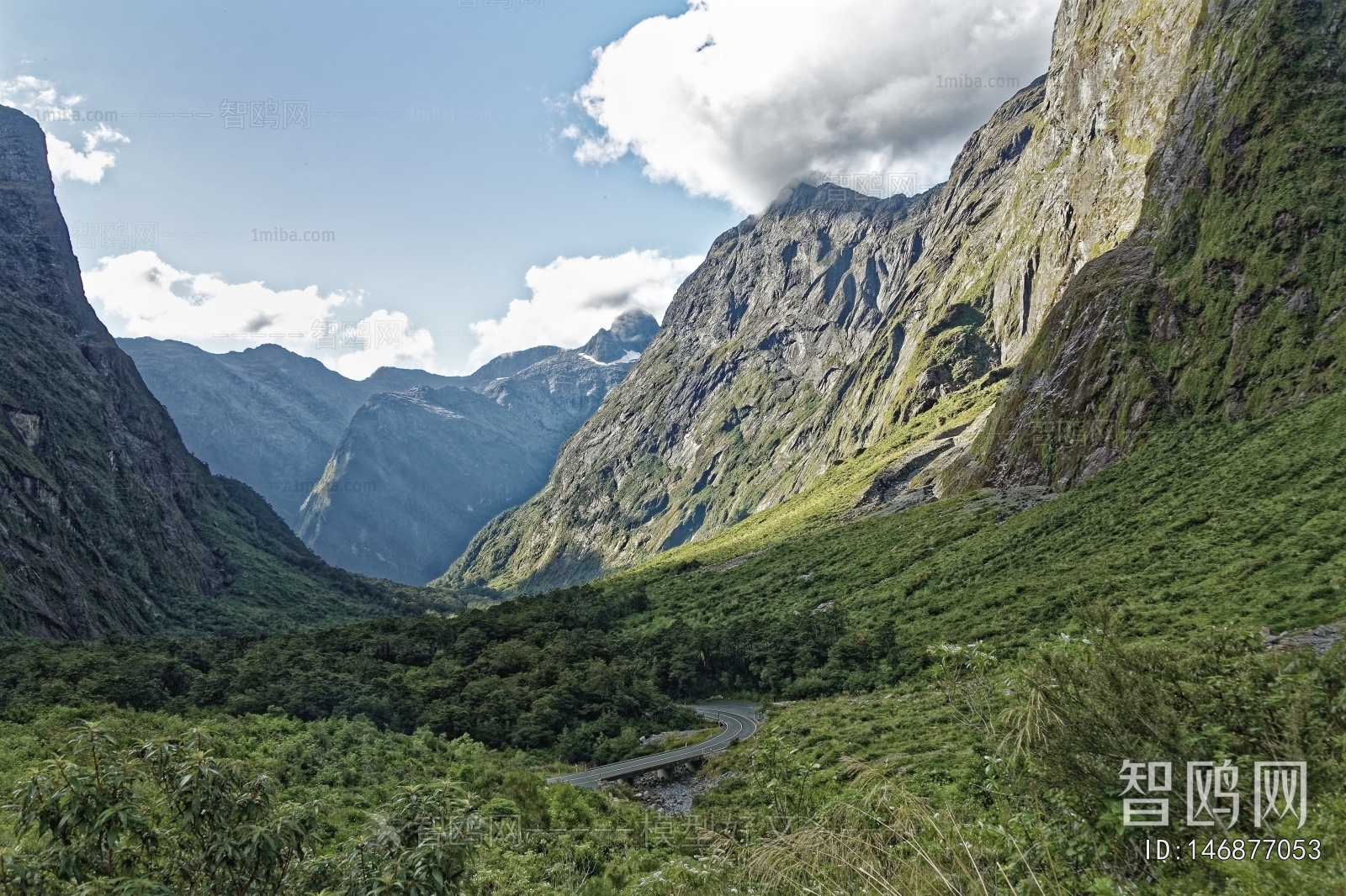 现代森林风景
