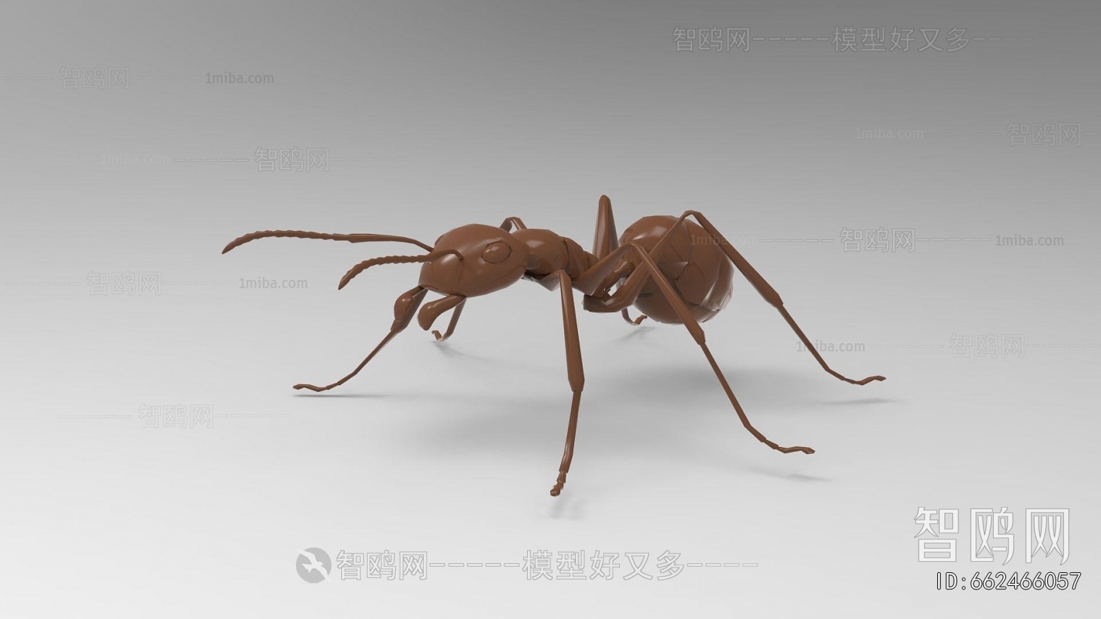 Modern Other Animals